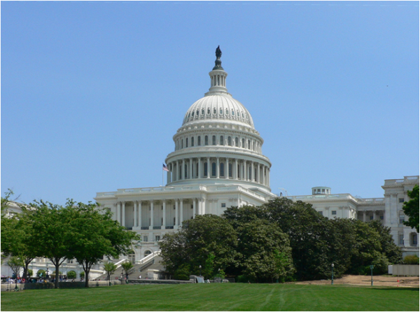 white house